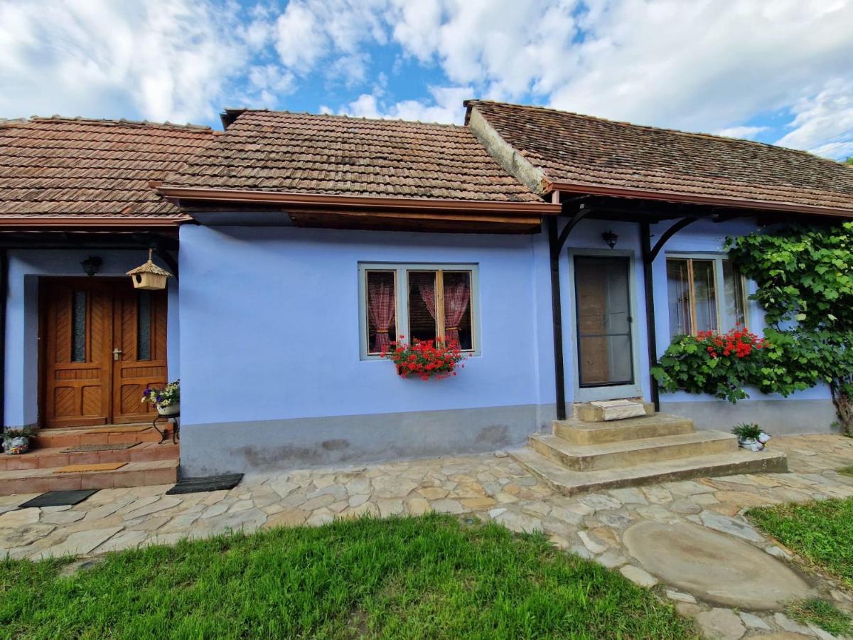 Floresti House 21 Roandola Bagian luar foto