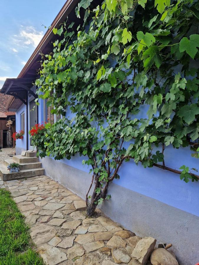 Floresti House 21 Roandola Bagian luar foto